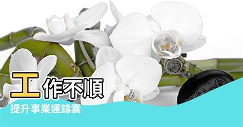 工作不順 風水|上班族的開運風水！7大辦公室風水大公開 助你避開麻。